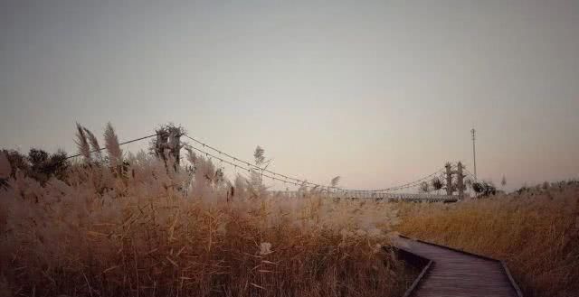  「重启」不能重启的2020，接下来的日子在天津要这样过！