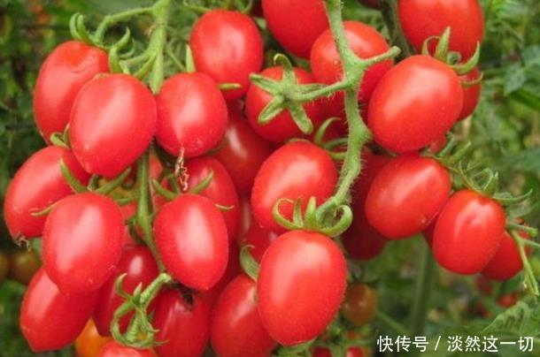【食物】女性到了中年,少用化妆品,常吃4种食物,白嫩年轻,拒绝发胖
