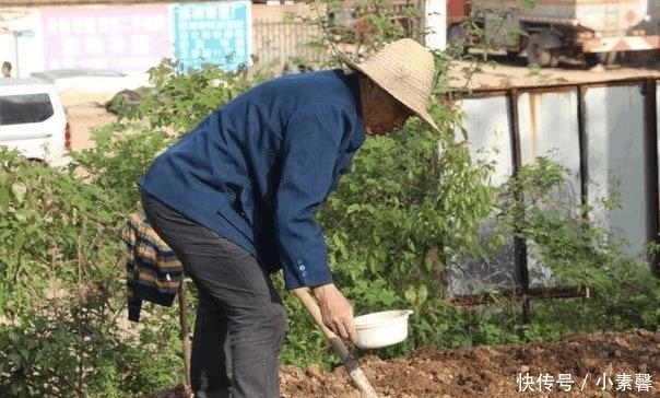  【取消】农业户口取消已板上钉钉, 专家预计: 未来的农民将会面