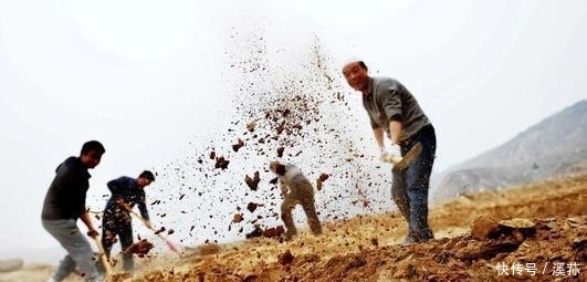 今年起, 农村有3类人将“彻底失业”, 农民不难过, 反而很高兴!