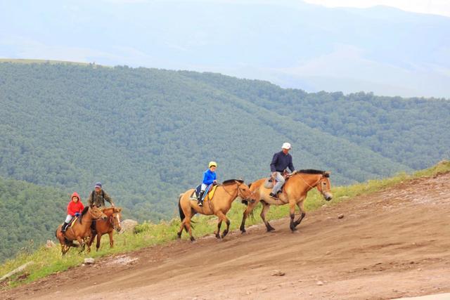 丰宁除了坝上草原，还隐藏着一个中国最美森林自驾者的天堂