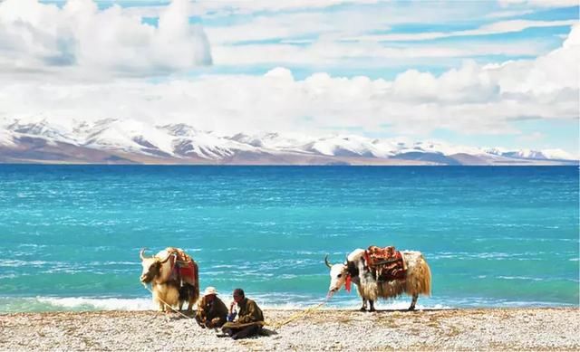 中国唯一高速全年不收费的省，景点门票全免费，不来一趟太亏！