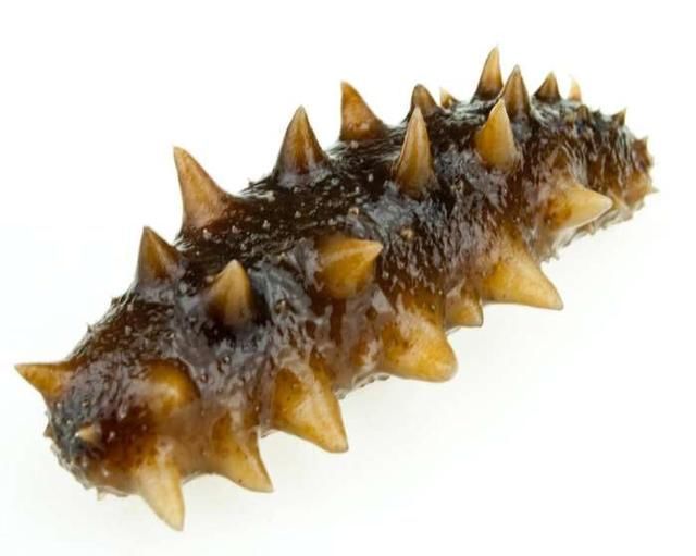 网上卖海参被质疑假货，儿子出面解释，网友：主要被骗多了！