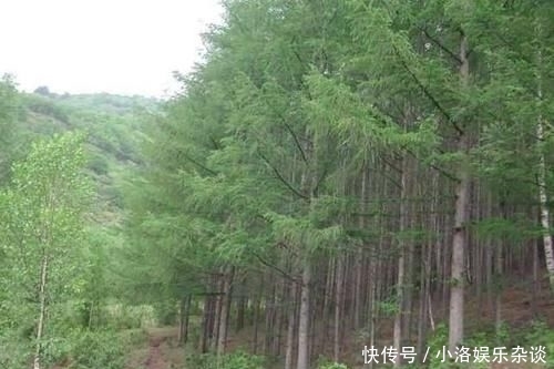  「喜欢」十个冷知识：为什么很多女生不喜欢跑步？