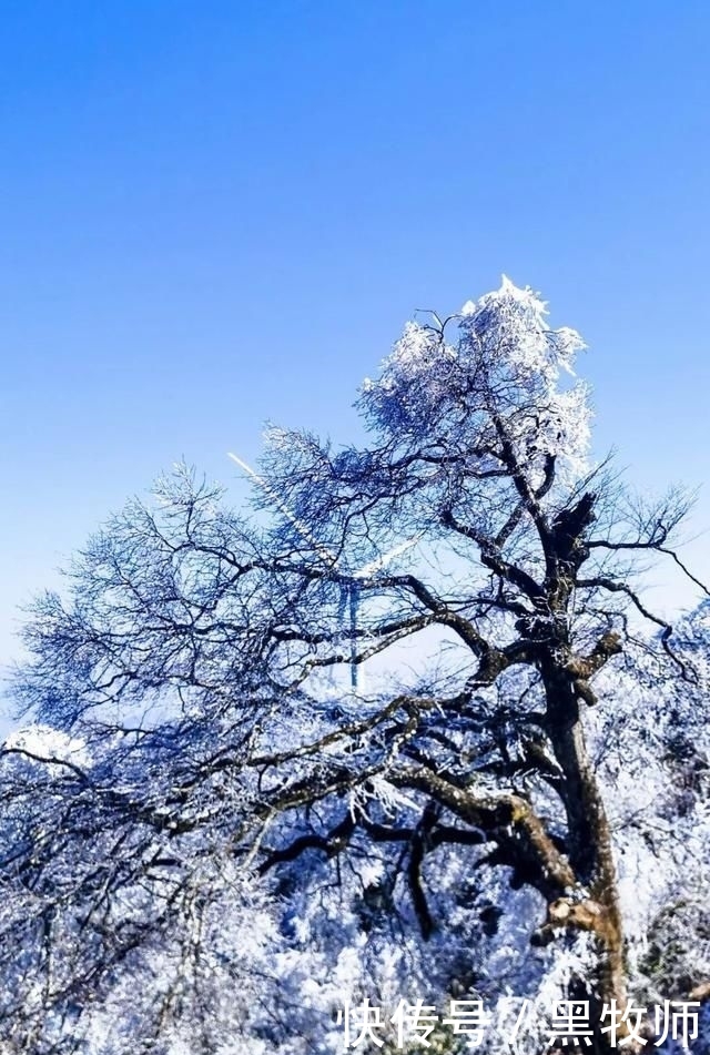  冰雪：灌阳风情：宝盖山的冰雪世界