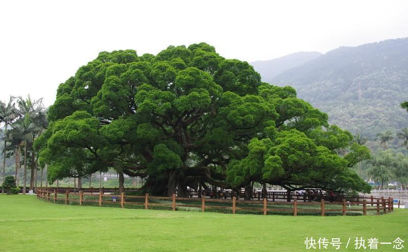 国内用福字命名的3座城市，其中一座是省会，另外两座知名度极低