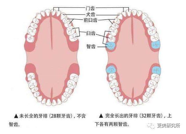 “整牙到底能不能瘦脸”终于有了权威结论，杨幂竟是被冤枉的?