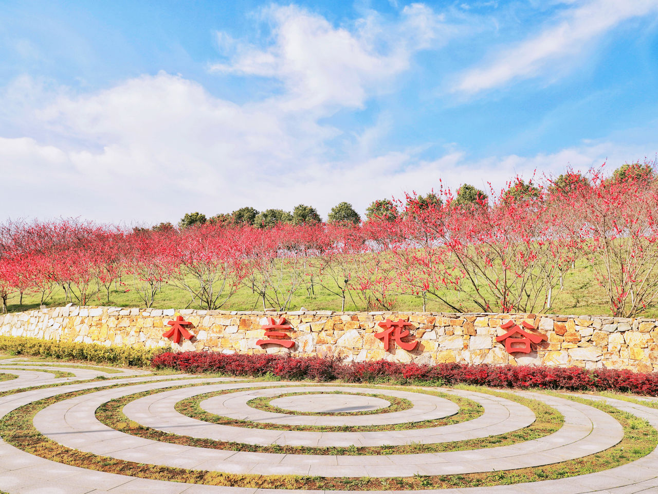 武汉周边游3??丨黄陂赏花和登山徒步，推荐这四个景区必须打卡