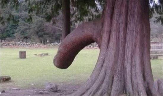 5大“流氓”景点，你去过几个