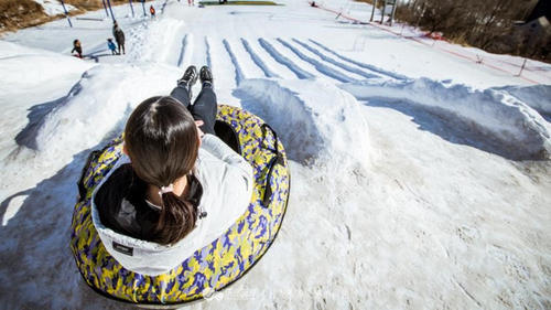到了这里，我才更懂冬天
