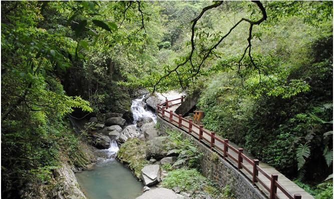 隐藏在南川的绿野仙踪，避暑旅游，清凉打卡不容错过！