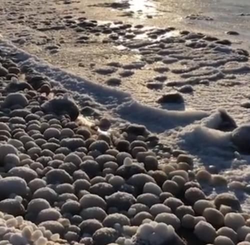 芬兰海岸发现数千个稀有冰蛋，当地居民表示从未见过这样的奇观