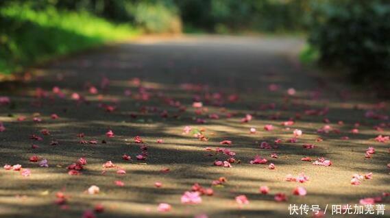 金刚经到底是什么经修行金刚经会获得什么福报