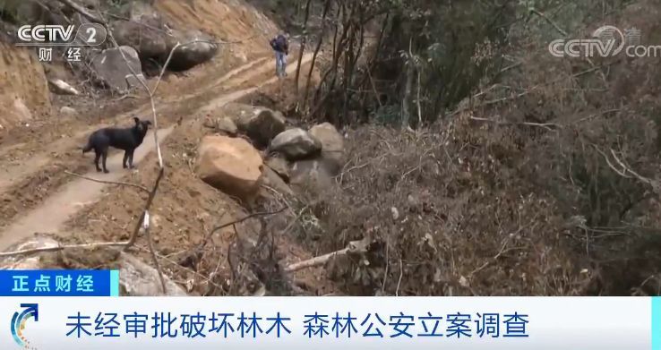  「家公园的范围」农夫山泉“毁林取水”？央视记者实地采访却遭