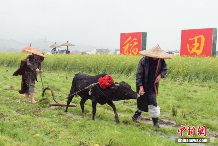  【新冠肺炎疫】春分习俗知多少？流行“竖蛋”游戏 校对度量衡器具