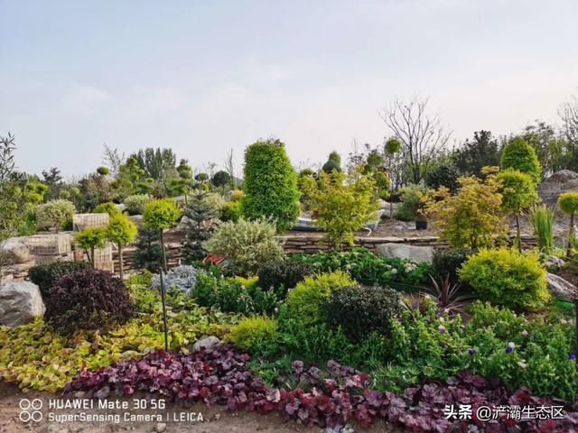  「迎接」迎接十四运 | 美景正在加载，花园浐灞敬请期待！