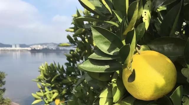 40岁大叔为钓鱼买下一座岛,改造破屋成海景房,真过瘾