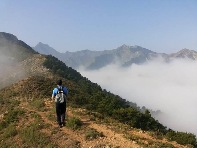 这是王维最精彩的唐诗之一，20字写出山中美景，题目更是通俗易懂