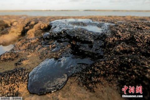 巴西海滩水质连续第二年恶化 东北部地区最为严重