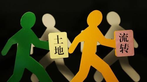  【迈向】规范宅基地开发建设，农村改革迈向新起点