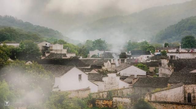 美如画!徽州的春,满城花开,醉人心底~