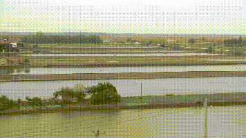  产值@啥养殖新模式？能每亩纯利润近万元，光卖鱼产值就有26万！