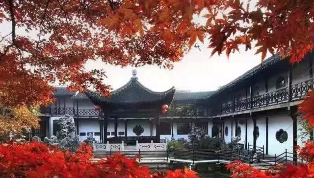 醉美庭院，有这些植物就够了！