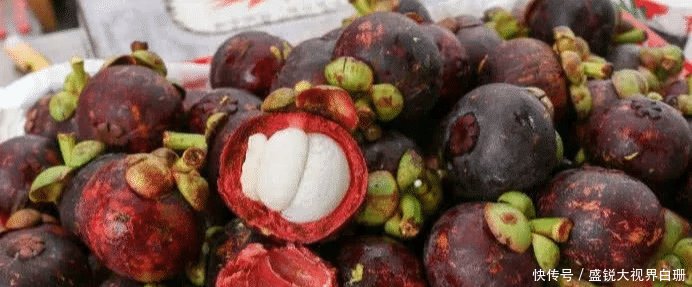 看完农村大叔摘山竹，发现卖得贵也是情有可原，钱都花了它身上！