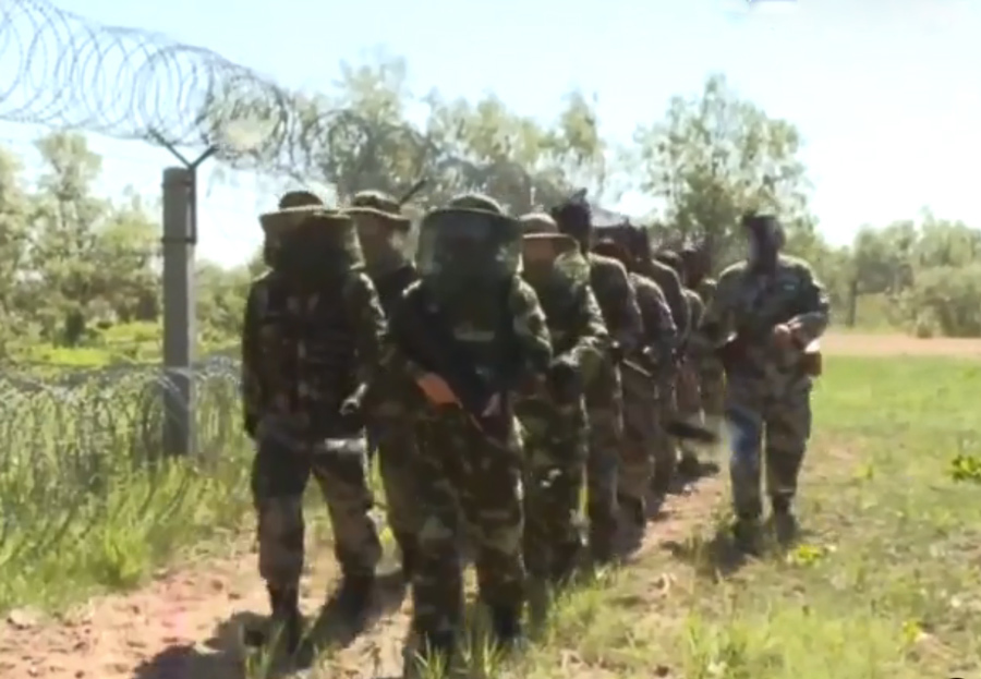  「我国」我国“死亡地带”，三天消灭蚊子超10斤，曾有7只军犬被