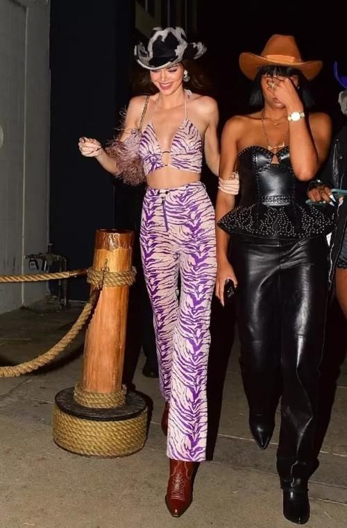 浅紫色：浅紫色豹纹套装秀身材，性感妩媚，肯达尔?詹娜化身狂野女孩