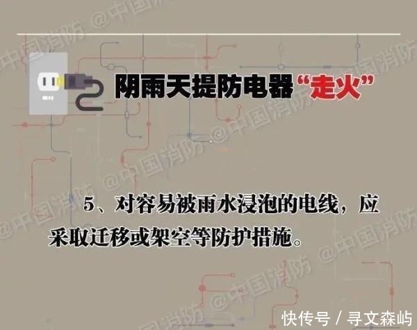  [电线短路]4000头猪一夜毙命 网友：心疼