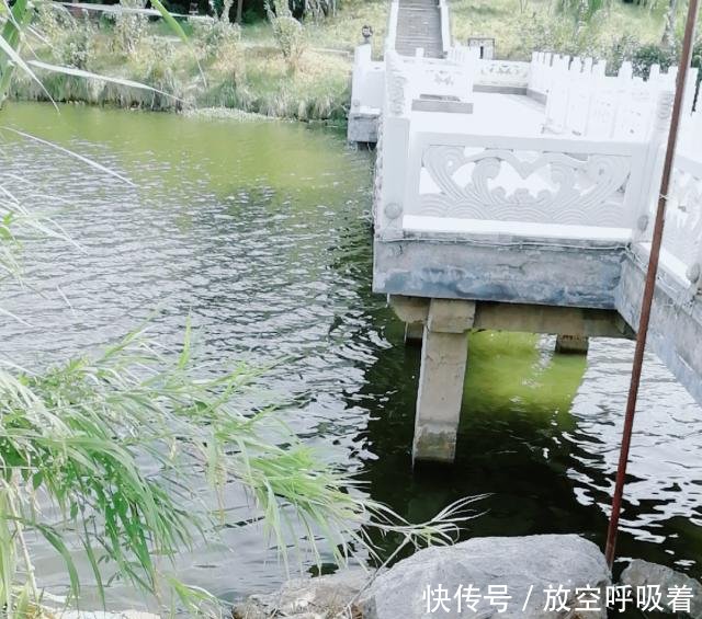  好时光■九月桂花香，钓鱼好时光，给大家分享一款好用的自制窝料！