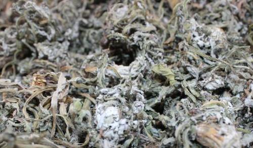 肝病早期不疼不痒,睡觉的3个信号更要留心!别