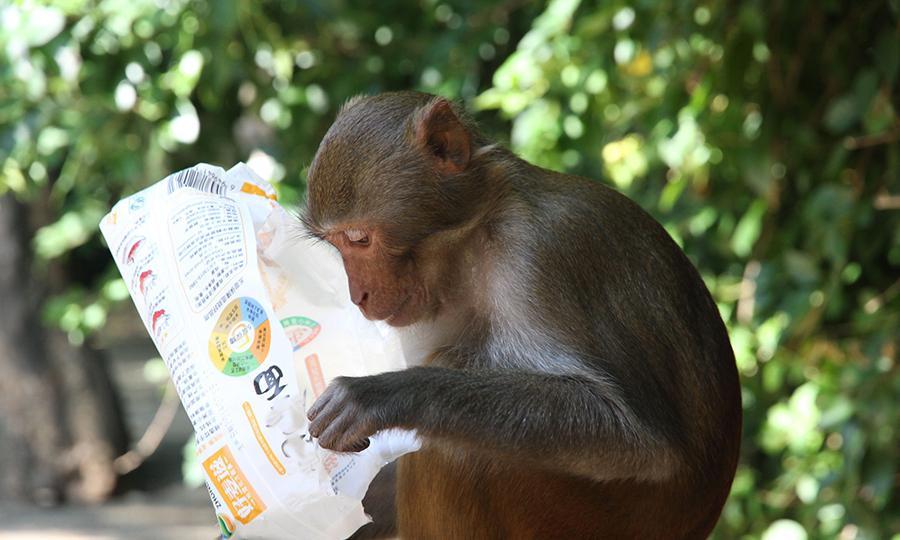 女子在景区被抢走两部手机，报警夺回后发现已损坏，景区：管不了