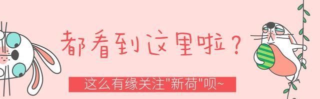  偶遇■野外偶遇一只受伤的兔子，女儿当宠物养了一年怎么变成野猪啦