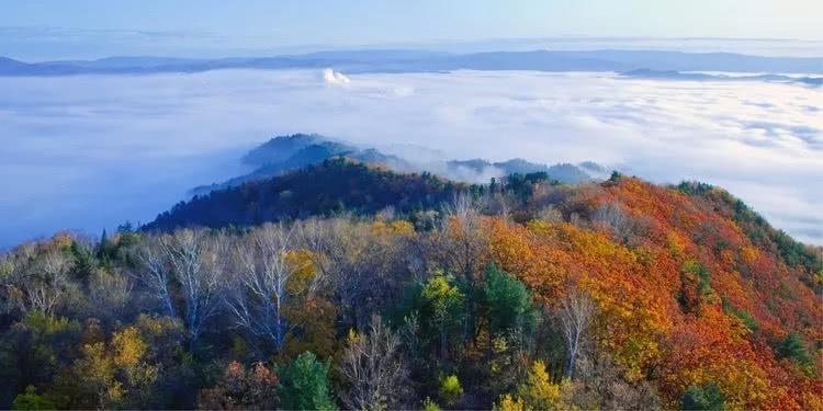 一片如梦如幻的斑斓色彩、仿佛是仙子居住奇境，这里是北疆的秋天