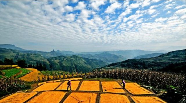 农村“该拆的，该改的，该收回的”咋回事？农民还是看看的好