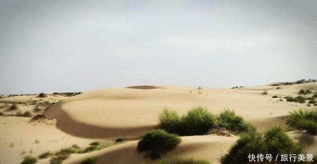 沙漠变绿洲，中国的逆天工程又一次让世界惊叹