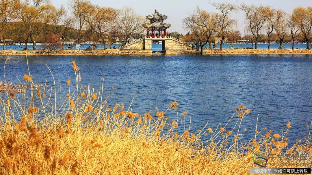 初春颐和园 静谧如诗画