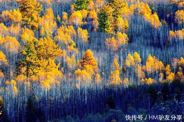 中国最美秋色：比喀纳斯清新，比稻城更童话！正适合秋天