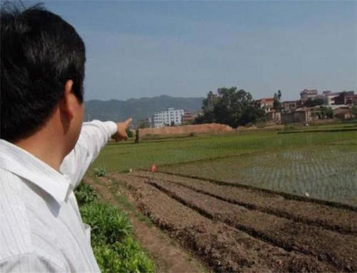  「处置」农民开垦荒地种植，这些多出来的土地，该怎么处置呢？