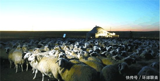  #差距#外蒙古与内蒙古牧民冬季生活的对比, 差距太大