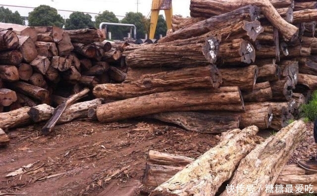  树木■与紫檀同等价值的树木，木质密集有香味，却经常被农民当