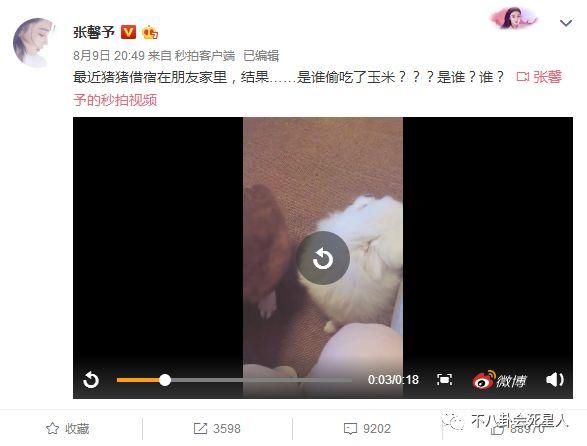 张馨予现身医院坐实怀孕？诊所名字暴露地位，网友：彻底洗白了