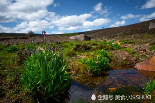 中国最美的村庄！被老外称为“世界第一村”，却少有国人知道