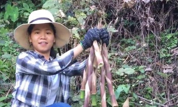 被称为“笋中之王”的它，一斤10元，农村姑娘靠它日赚几百元