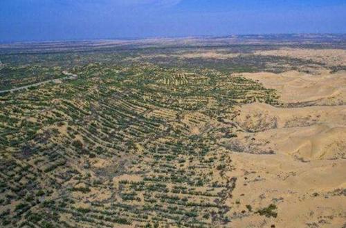 中国耗费30年将沙漠变绿洲，如今变成这样，治沙人：心痛