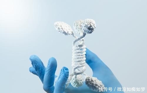  「鱼鳞」很多人买鱼的时候将“鱼鳞”丢弃，殊不知它有这4大价值