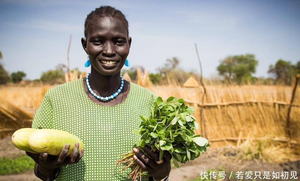  「玉米」中国人在非洲土地上种向日葵被非洲人嘲笑，尝到甜头后