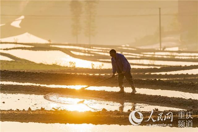  「追赶」重庆南川：追赶太阳的农人